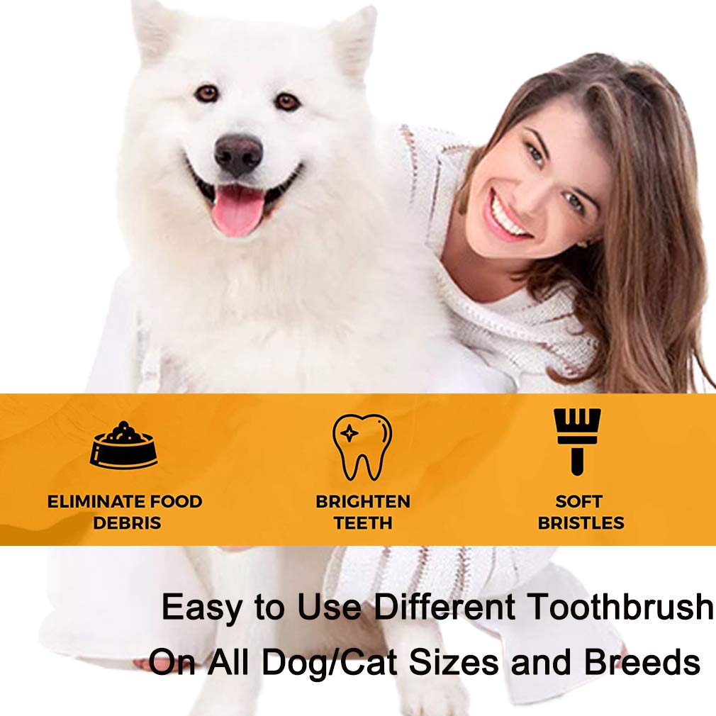 Zeyaa multi-pack dental kit supports versatile brushing for dogs and cats.