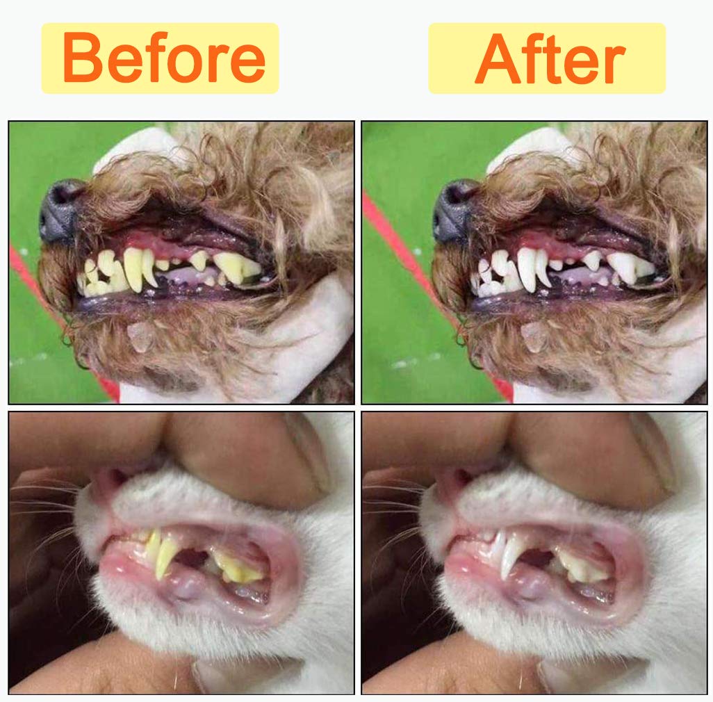 Zeyaa rubber-handled brushes provide secure grip during brushing sessions.