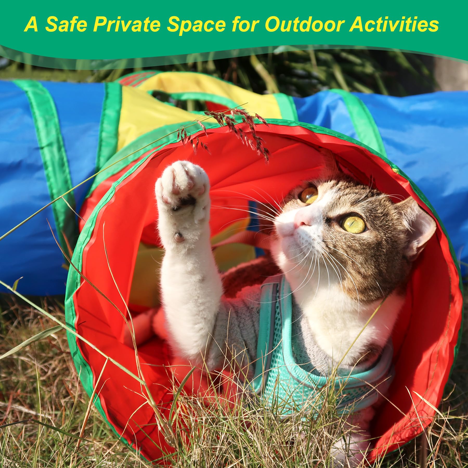 ZeyZoo cat springs pack adds interactive chase play