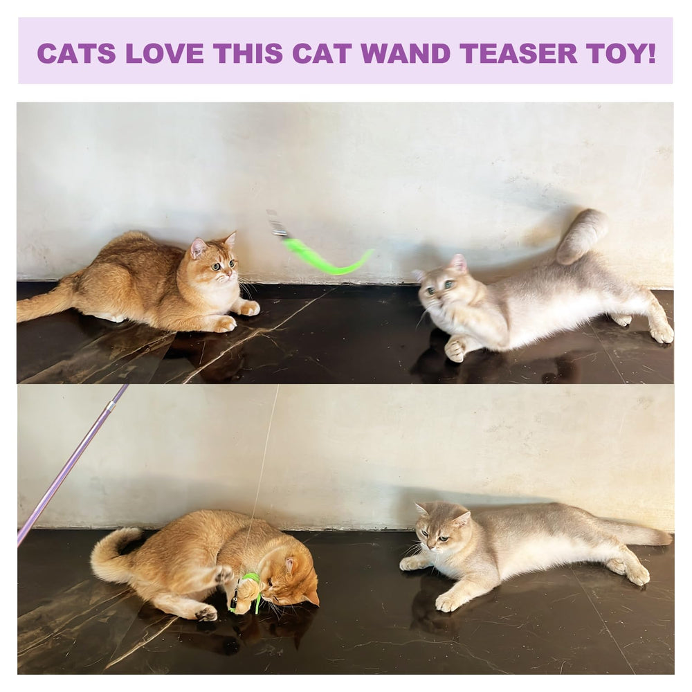 ZeyZoo plush fish toy: soft, enticing texture for gentle batting and cuddly fun.