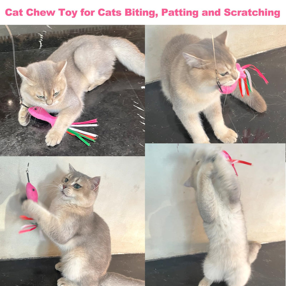 ZeyZoo catnip toys assembled 5-pack enhances enrichment and boredom relief