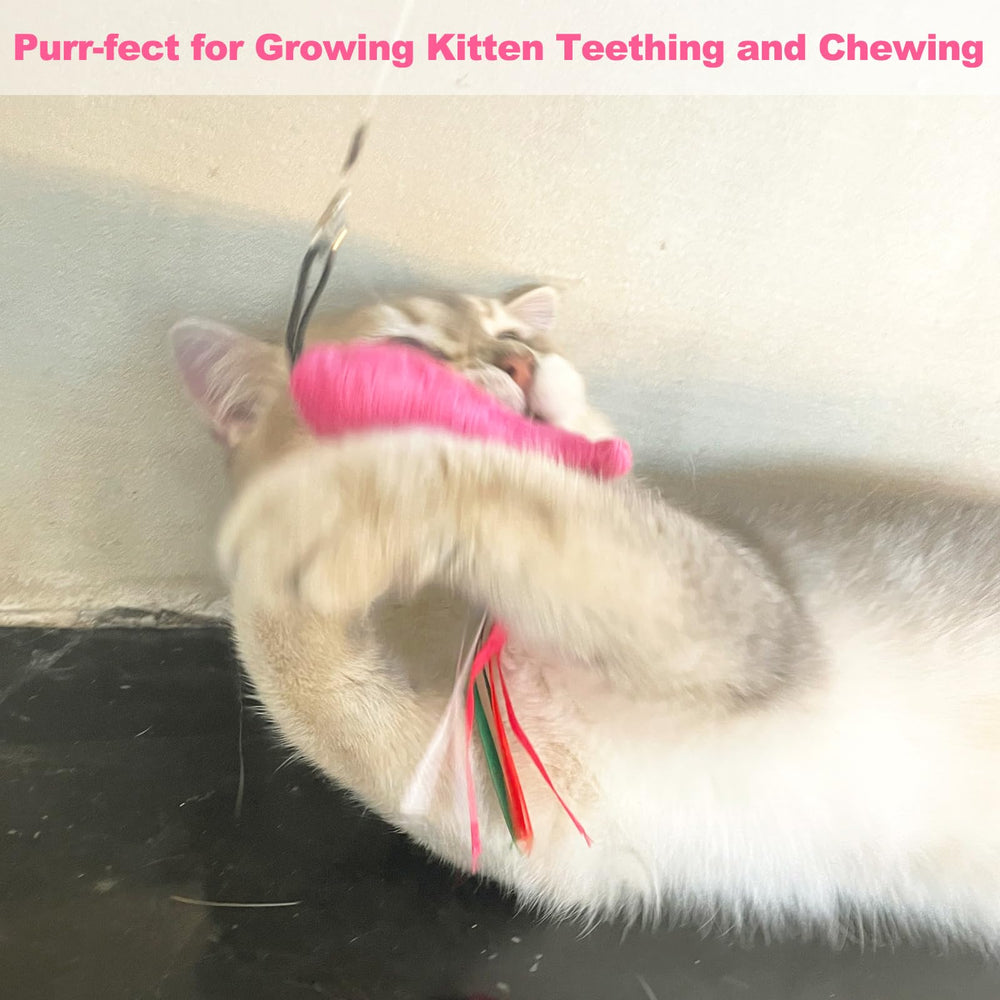 ZeyZoo floppy fish toy with ribbon tails triggers hunting instincts