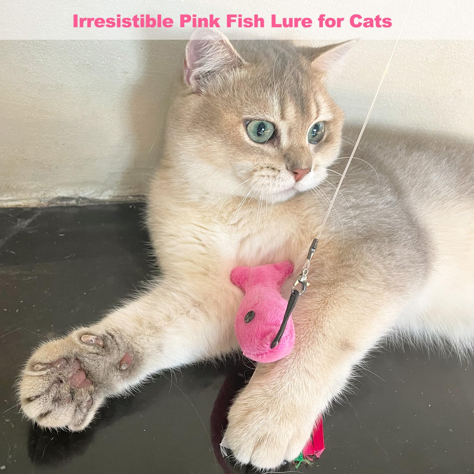 ZeyZoo pink fish toy packaging opens as thoughtful indoor gift