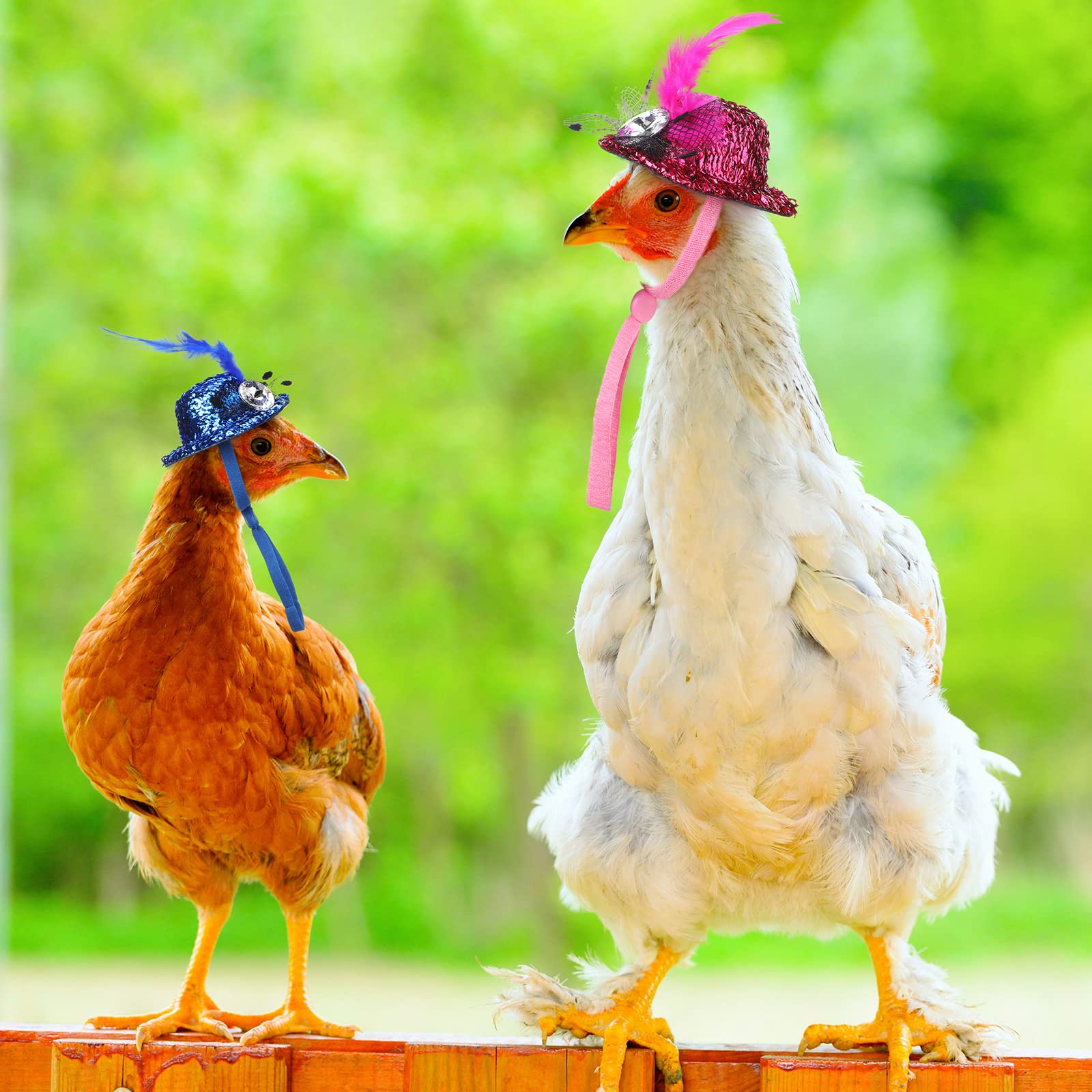 Zhanmai black accessories for stylish poultry outfits