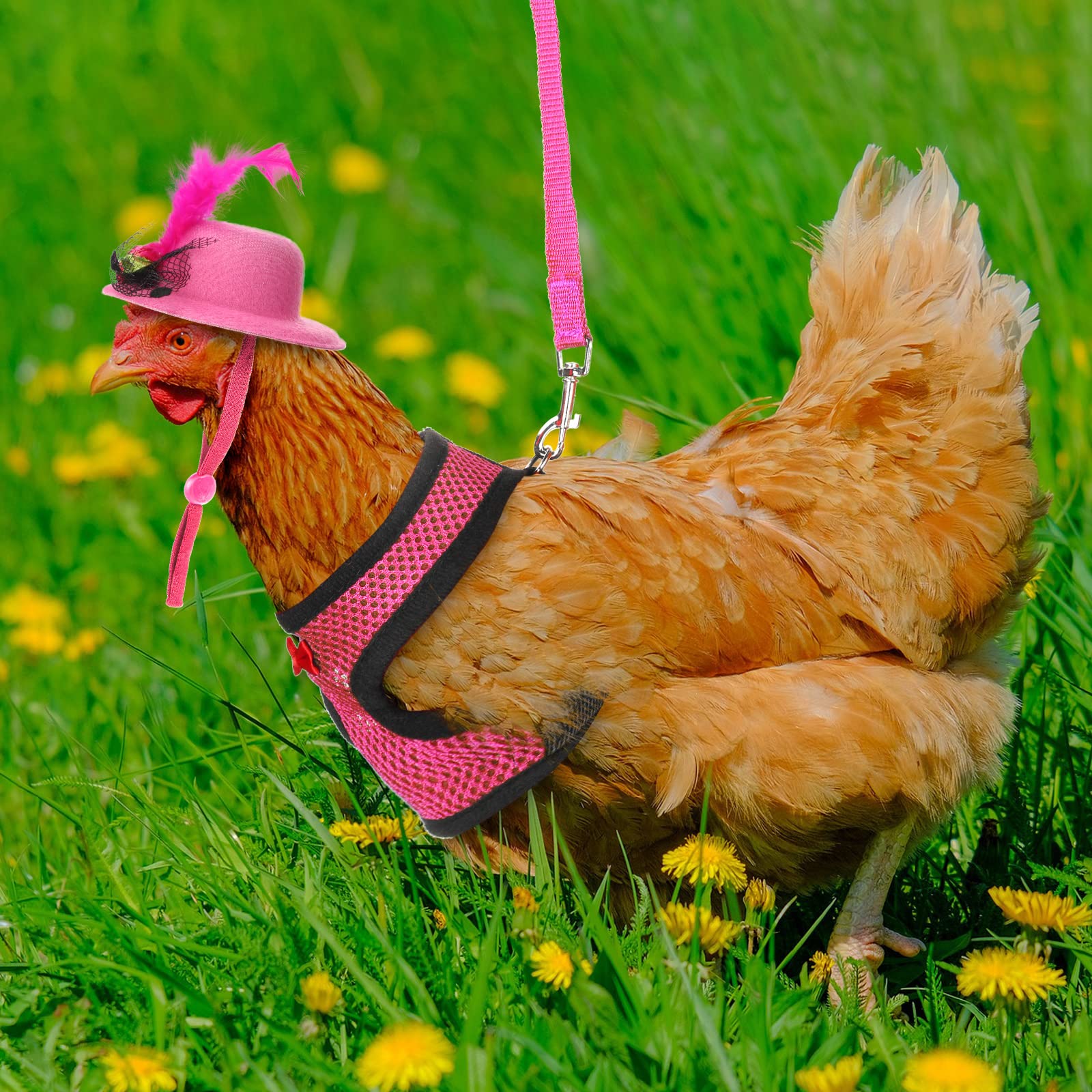 Zhanmai rose-red accessories add playful flair to hens and roosters