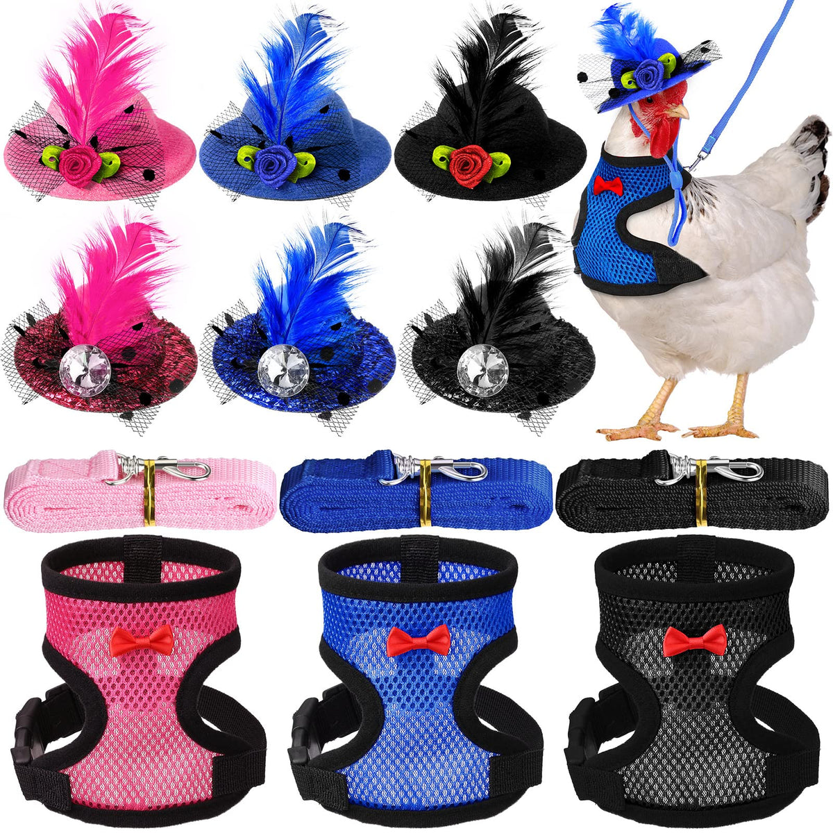 Zhanmai chicken harness with leash during outdoor walk for easy control