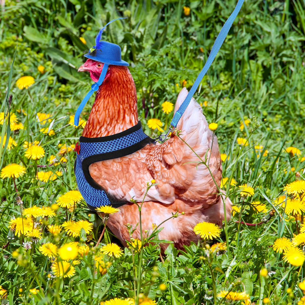 Zhanmai elastic-band chicken hats easily fit around heads