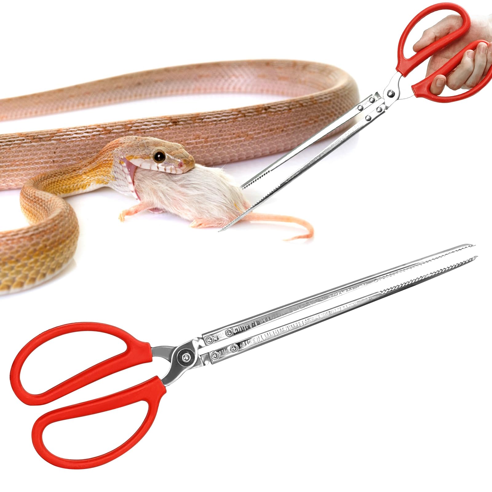 zhcoy 15inch heavy-duty snake feeding tongs for secure distance feeding.