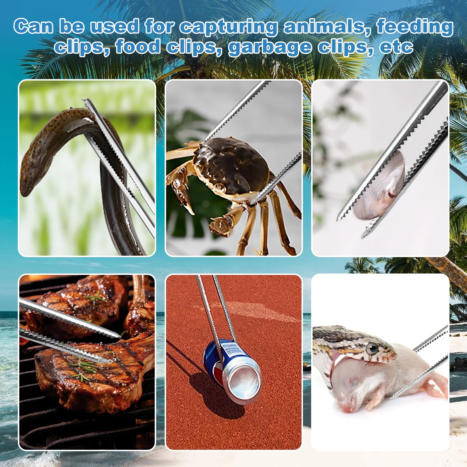 zhcoy bug-feeding cricket tongs designed for precise feeder insect feeding.