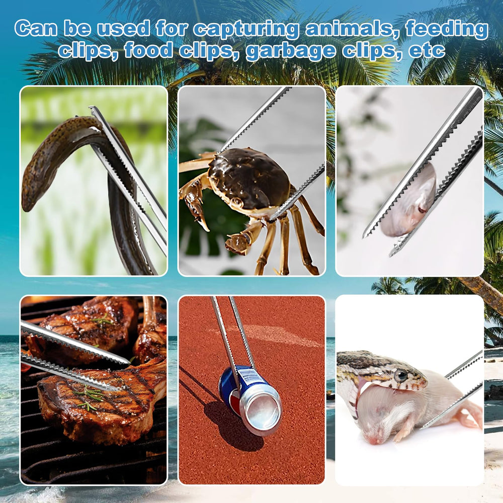 zhcoy bug-feeding cricket tongs designed for precise feeder insect feeding.