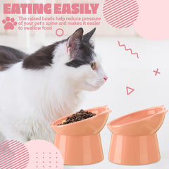 Zhehao cat ears peach color bowls add playful charm during feeding.