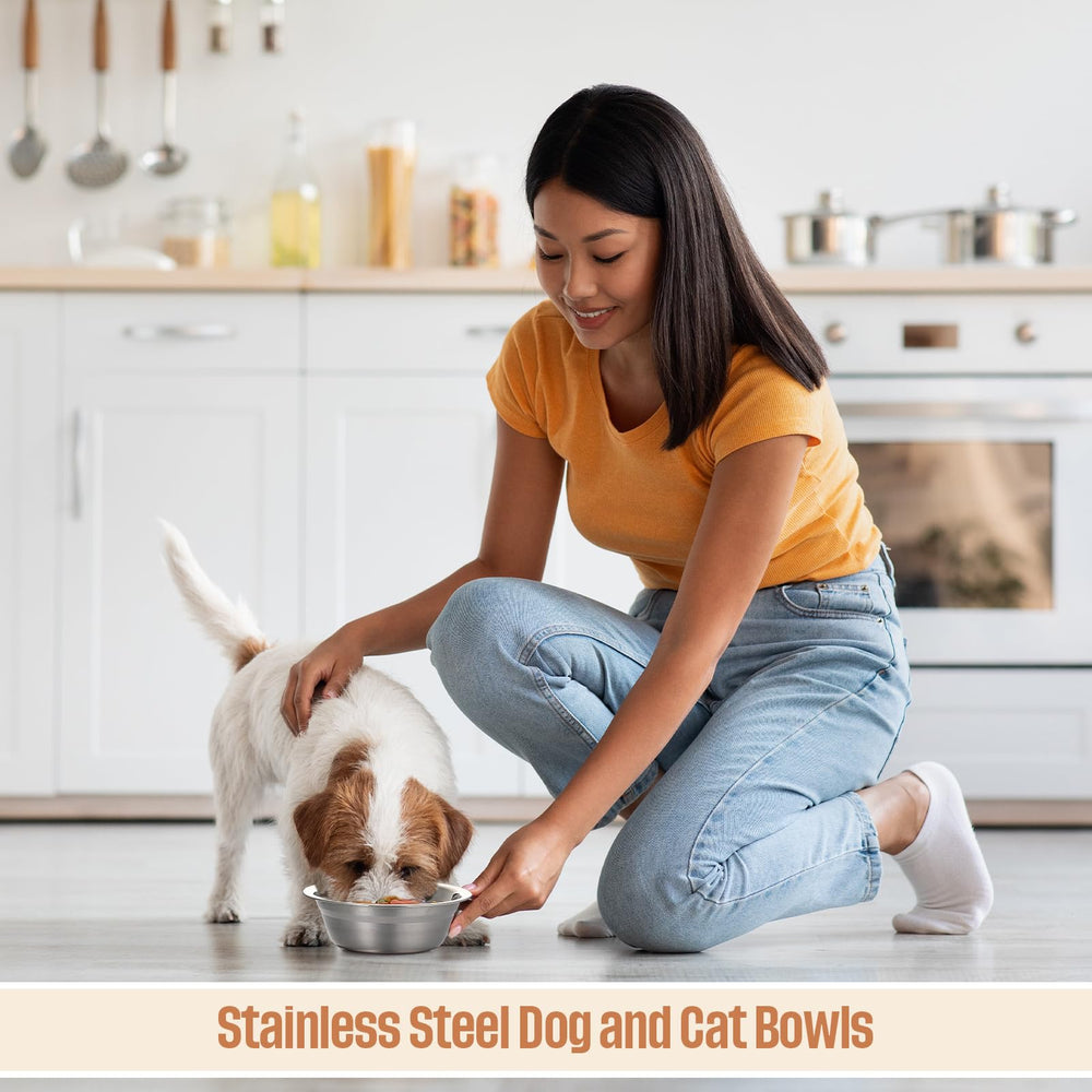 Zhehao bowls with stands are compatible with elevated feeding.