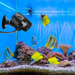 Zhengmy 800 GPH flow pump delivering strong water movement in aquarium