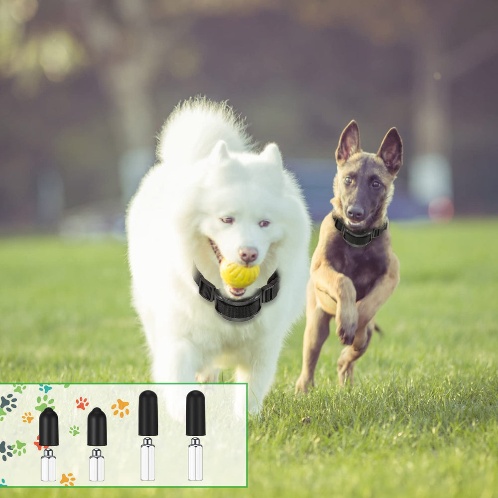 Zhengmy packaging includes 24 rubber tips and 12 metal tips