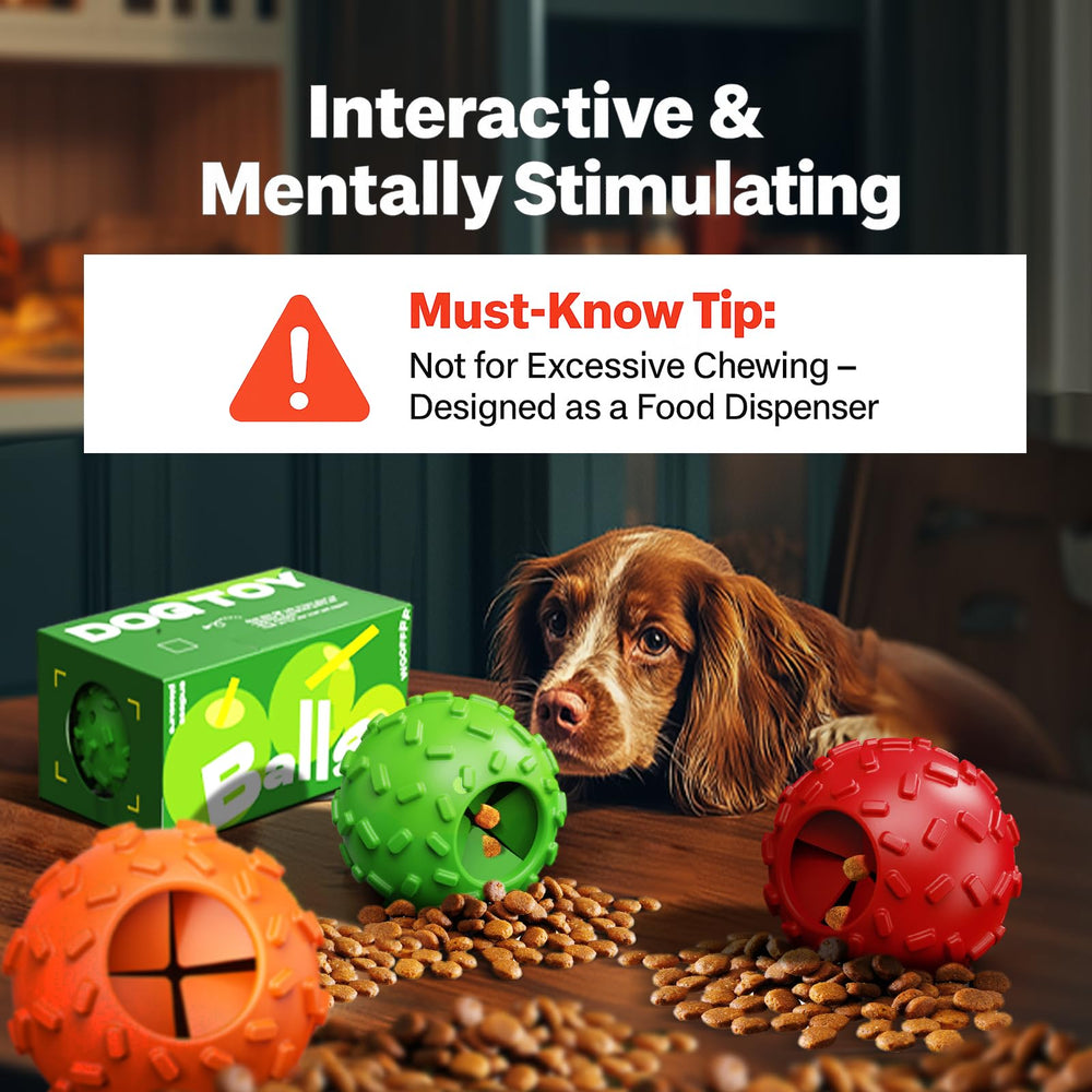 ZHIERDE dog-training ball in action promotes focus, obedience, and positive behavior during solo play.