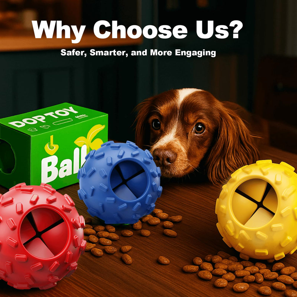 zhierde stress-relief dog toy training-tool demonstrates calm focus and indoor-outdoor versatility