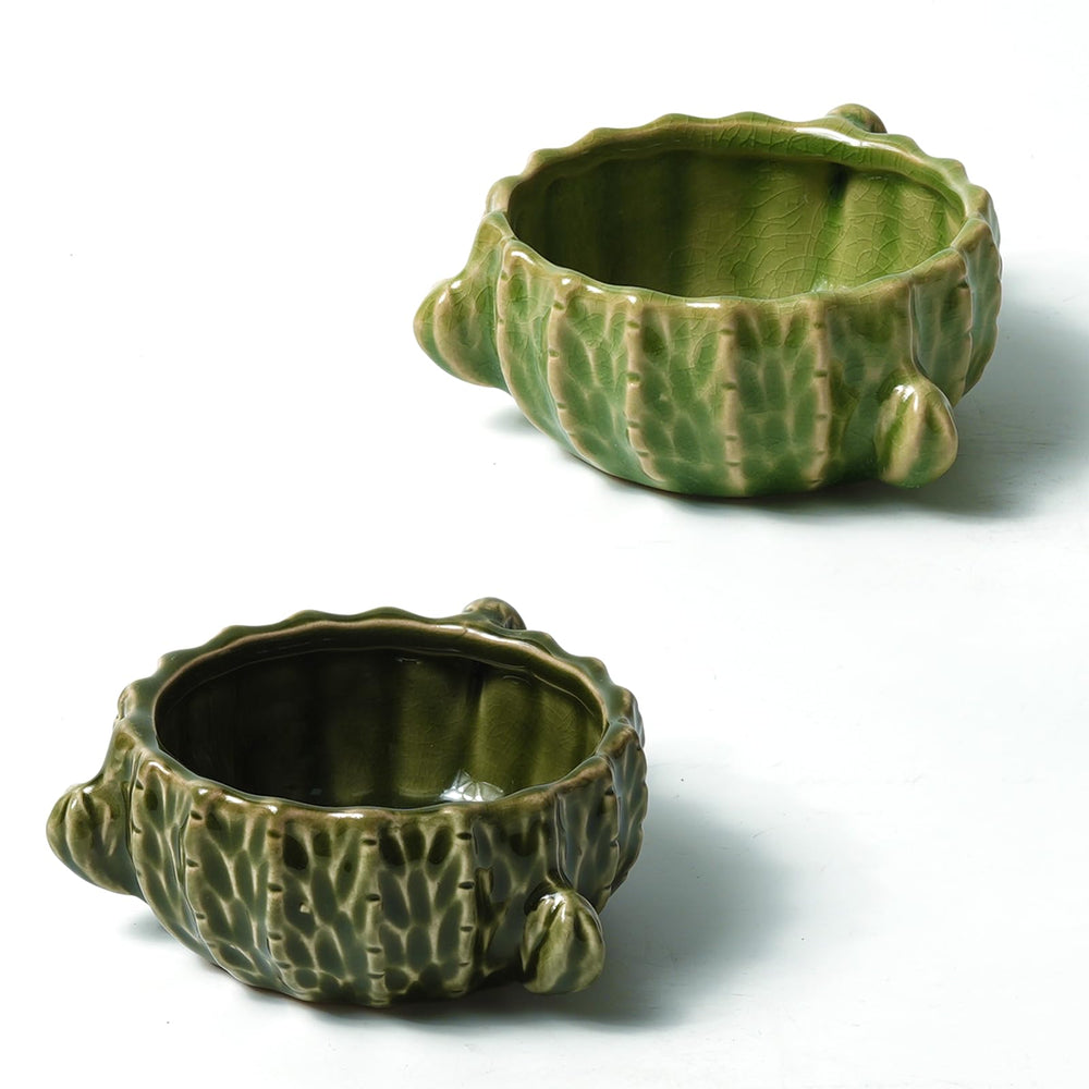 Zhilishu cactus-hamster-bowl engages pets and doubles as a cute cage accent