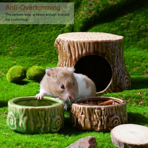 Zhilishu open-wide drinking bowl enables easy rinsing and refills