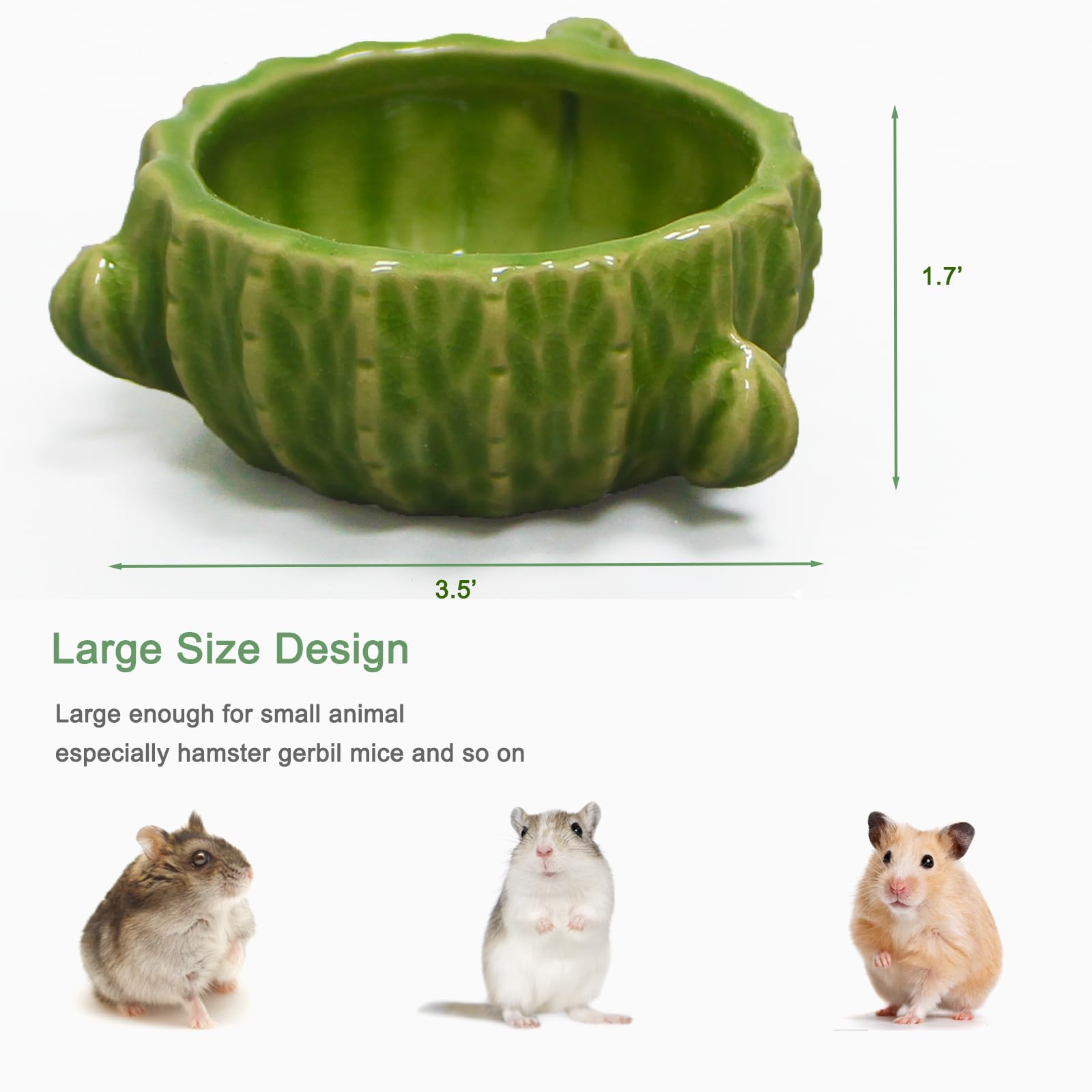 Zhilishu two-pack-setup highlights value and convenience for multiple pets