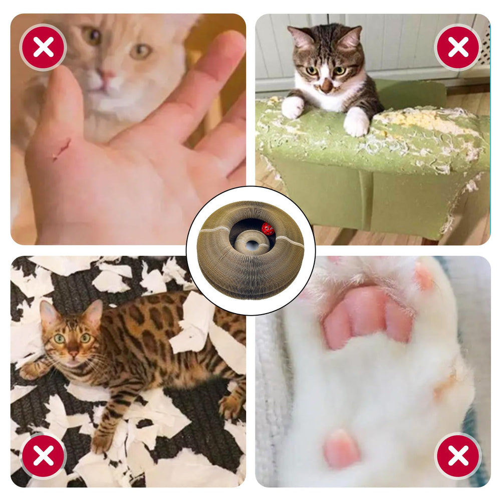 ZHIYUEJING suitable for kittens to senior cats for engaging activity