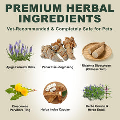 Zhizaiql PSP and beta-glucan ingredients close-up highlight immune-supporting herbs.