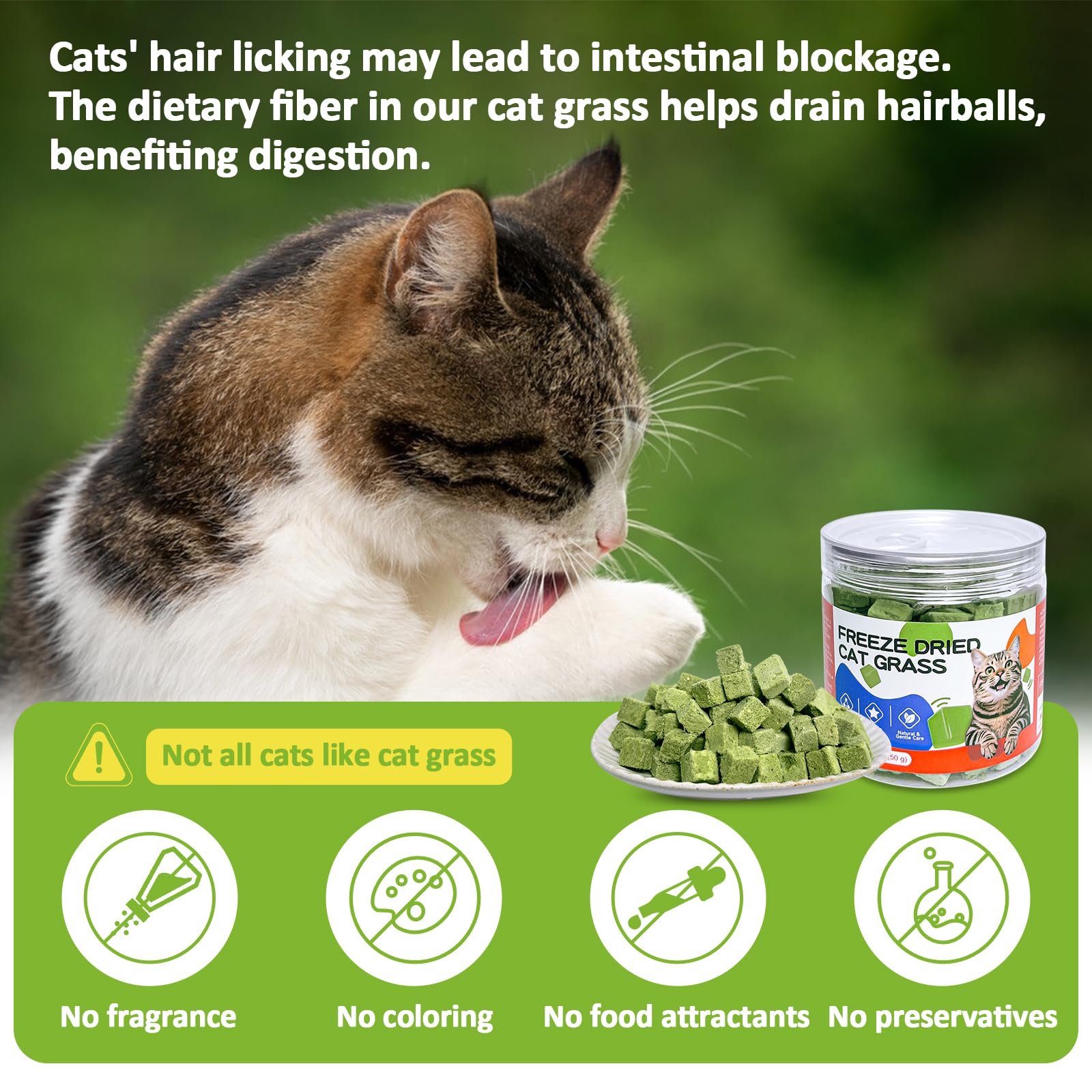 ZHSteveG cat grass treats shown during playtime, supporting snack-time digestion.