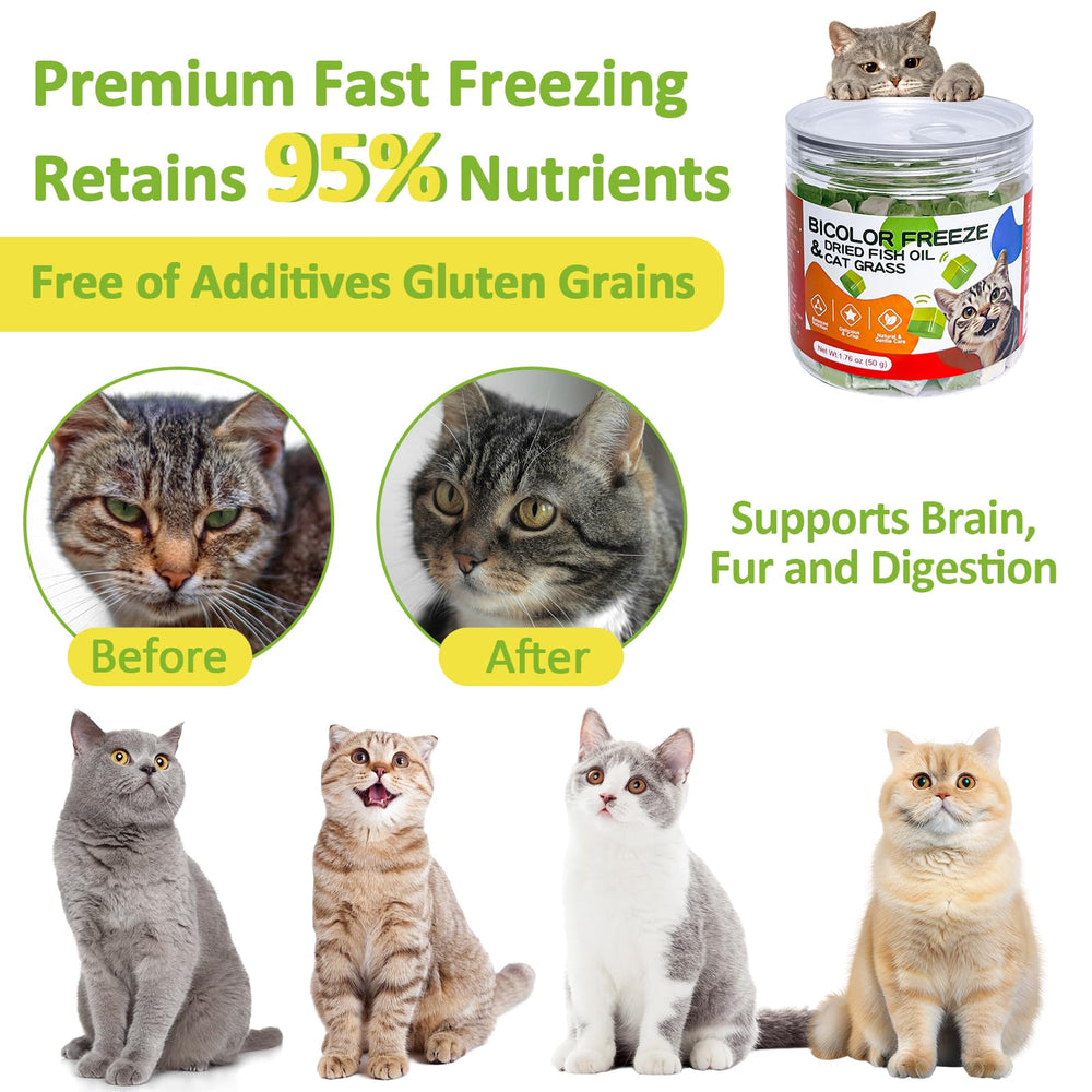 ZHSteveG omega-3-fish-oil-bottle hints at coat health support