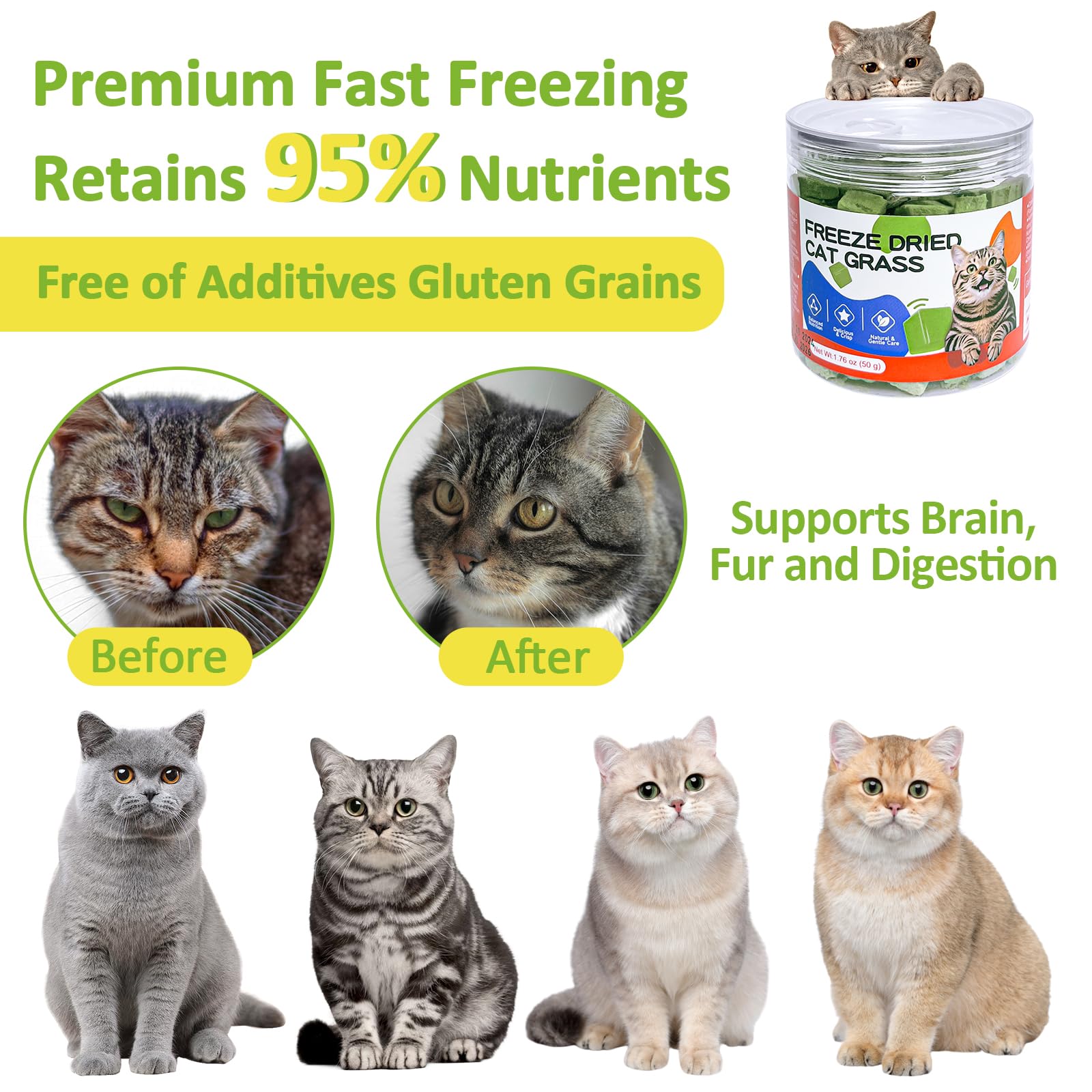 ZHSteveG portable jar lid keeps freshness for travel and home.