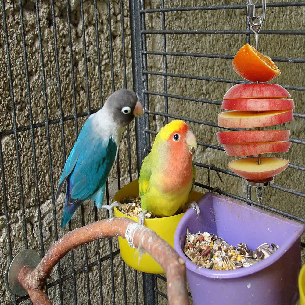 Zhuohai stainless-steel bird feeder skewers in action for enrichment.