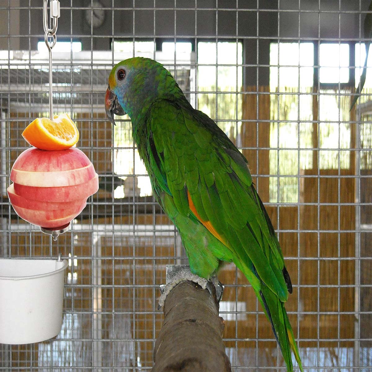 Zhuohai feeding accessory fixed to cage for easy installation.