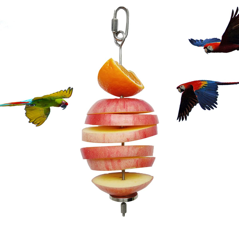 Zhuohai stainless-steel parrot holder in main view foraging engagement.
