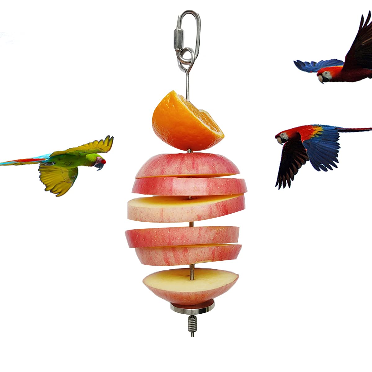 Zhuohai stainless-steel parrot holder in main view foraging engagement.