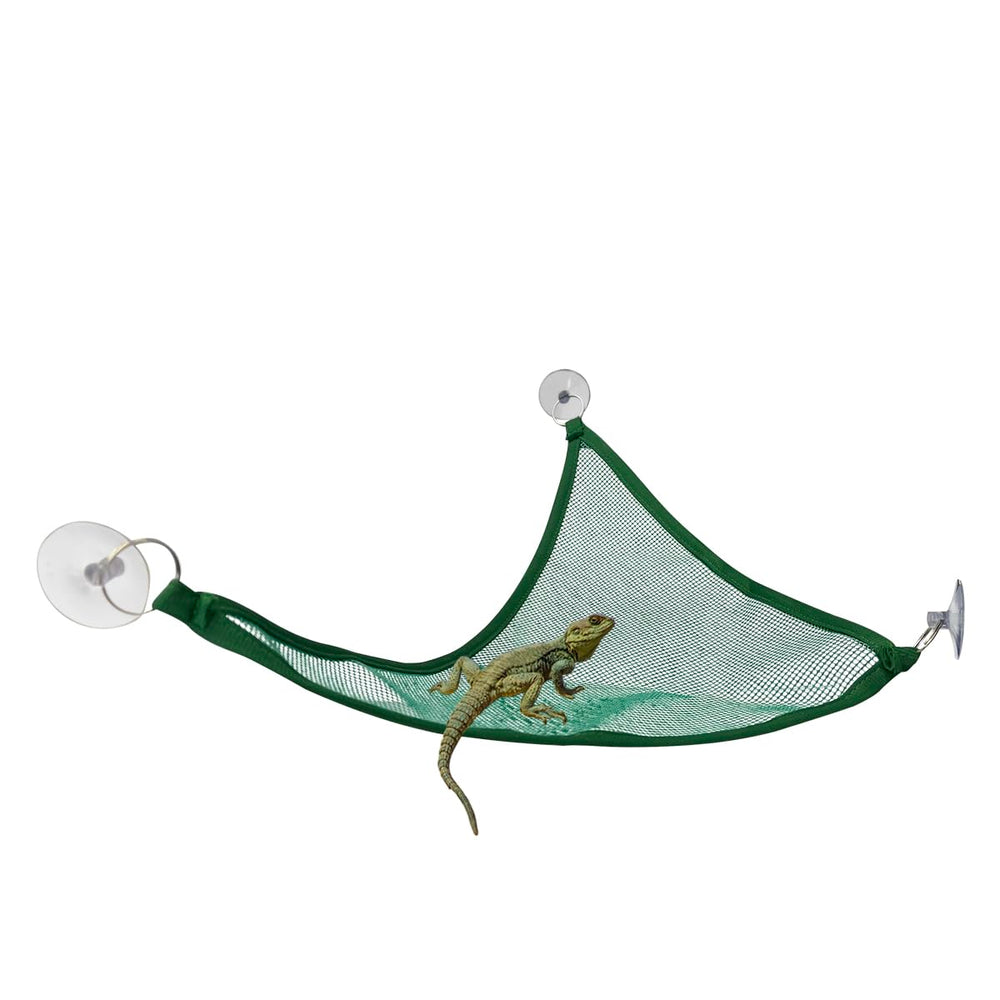 Zhuohai green hammock hung on glass tank to save vertical space.