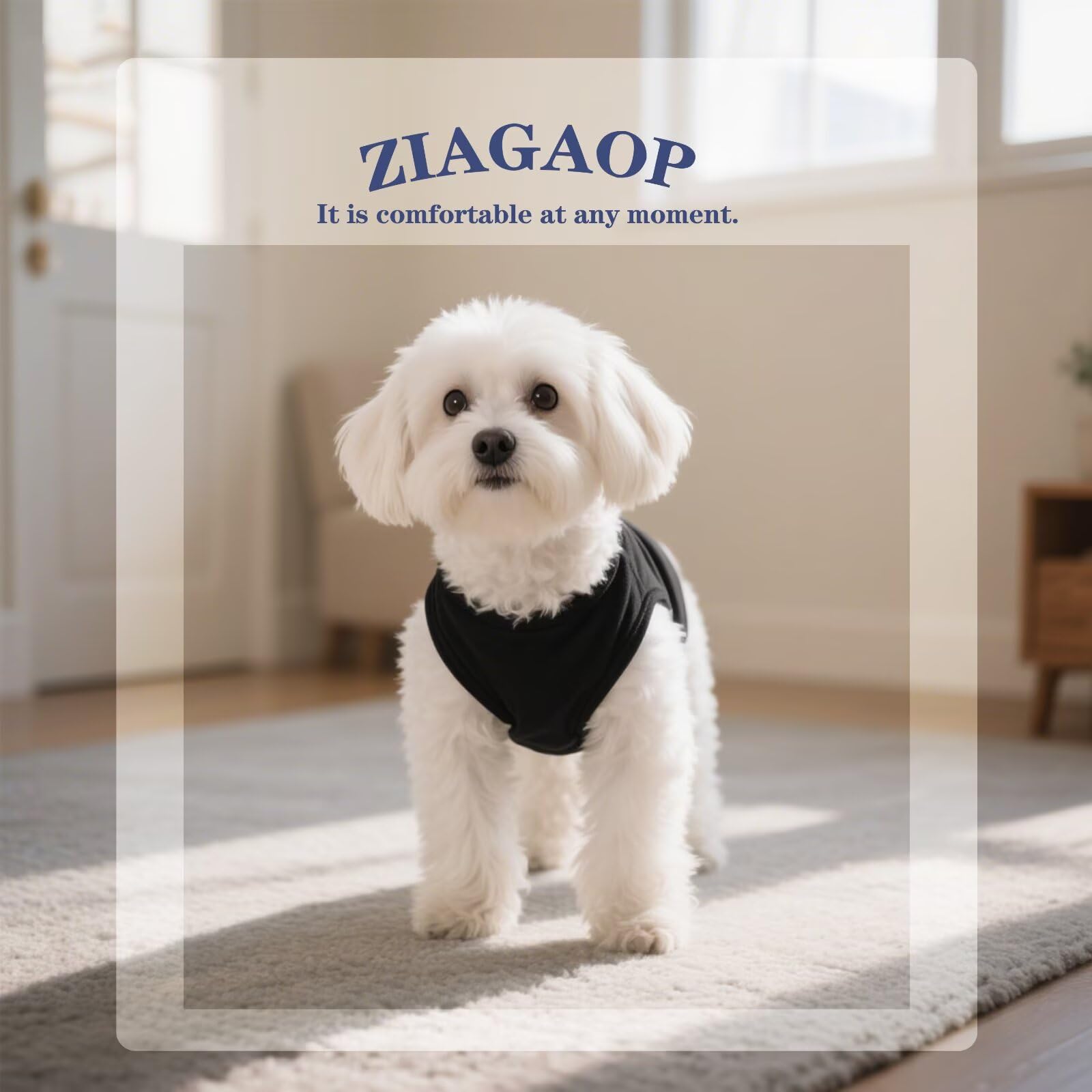 ZIAGAOP dog wearing shirt outdoors for everyday wear simplicity.