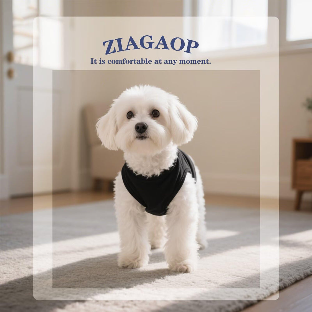 ZIAGAOP dog wearing shirt outdoors for everyday wear simplicity.