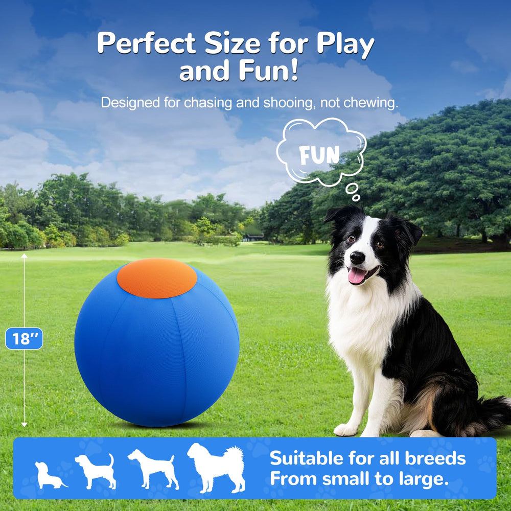 ZIDA herding ball 18inch blue orange visibility captures attention.