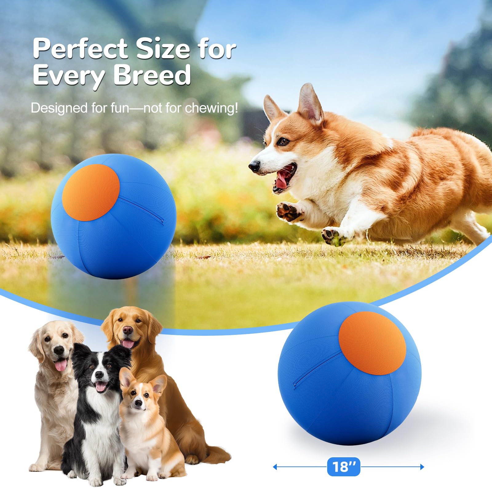 ZIDA herding ball 18inch easy-grip handle for guided play.