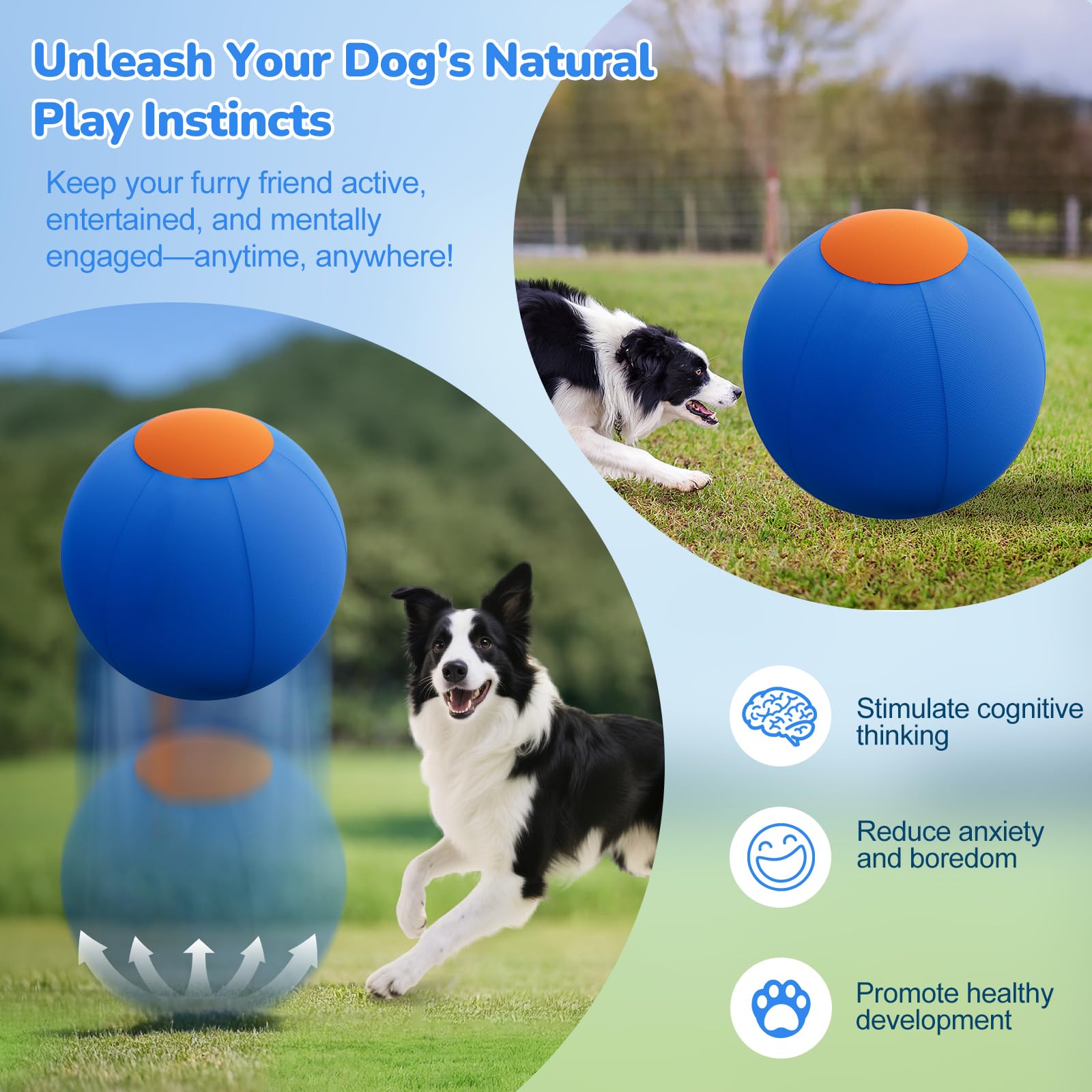 ZIDA herding ball 18inch lightweight portable for park and beach.
