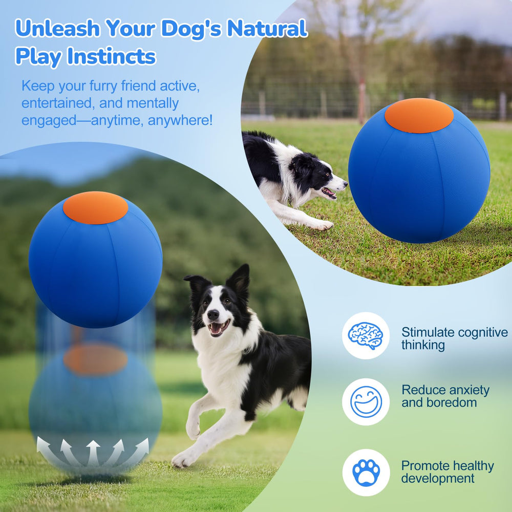 ZIDA herding ball 18inch lightweight portable for park and beach.