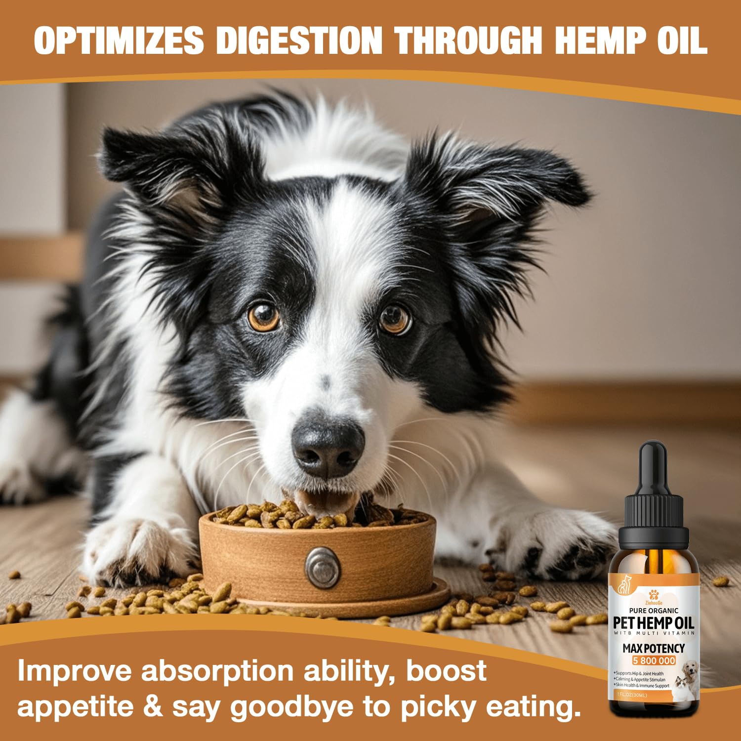 ZiehooGe hemp oil for dogs and cats adding to food demonstrates easy integration into routines.