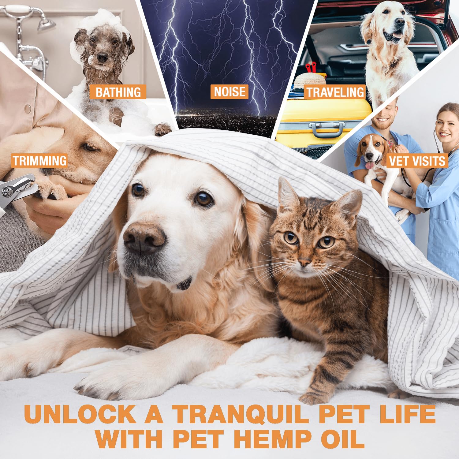 ZiehooGe hemp oil for dogs and cats dropper closeup shows precise dosing for pet wellness.