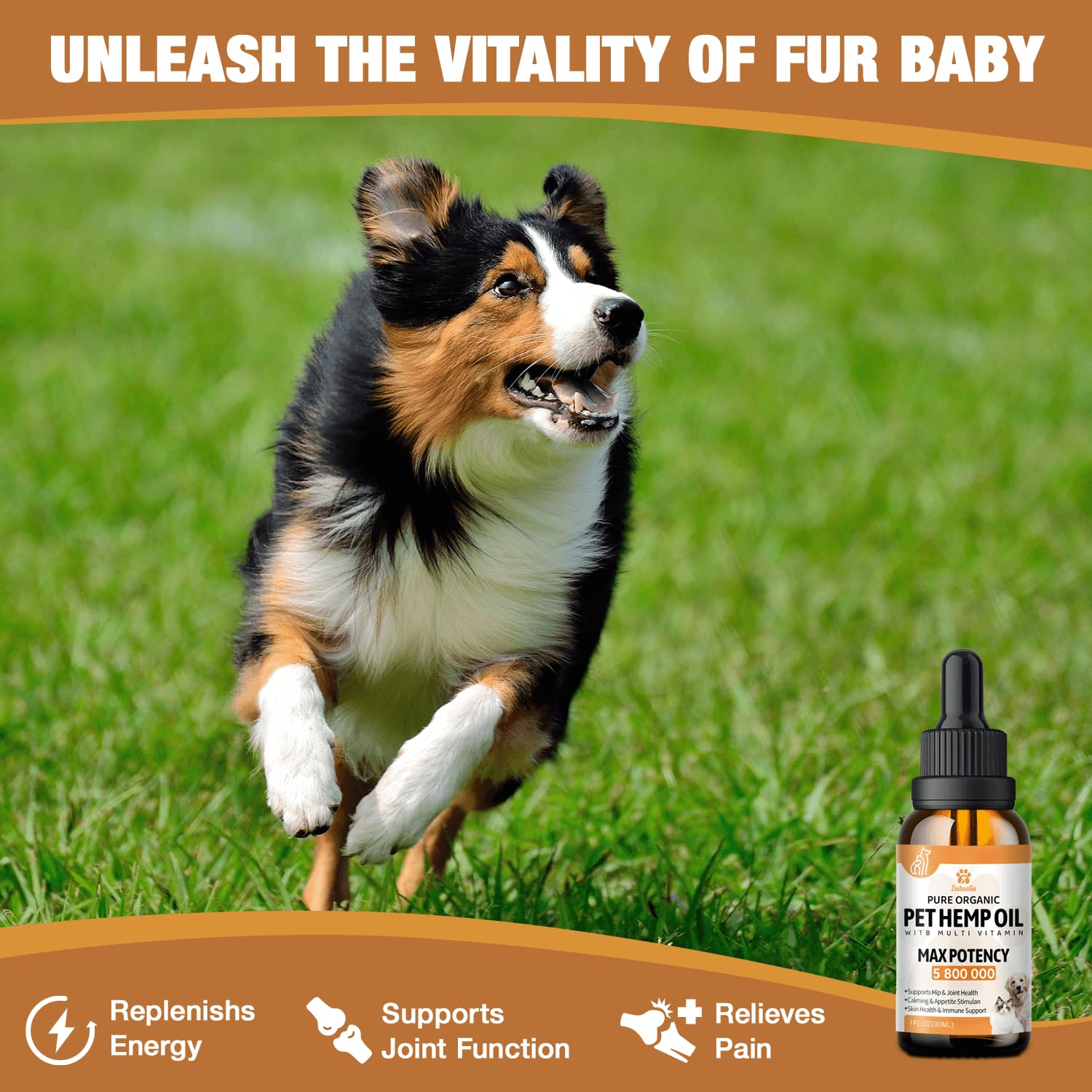 ZiehooGe hemp oil for dogs and cats pets relaxed image suggests calmer behavior after activities.