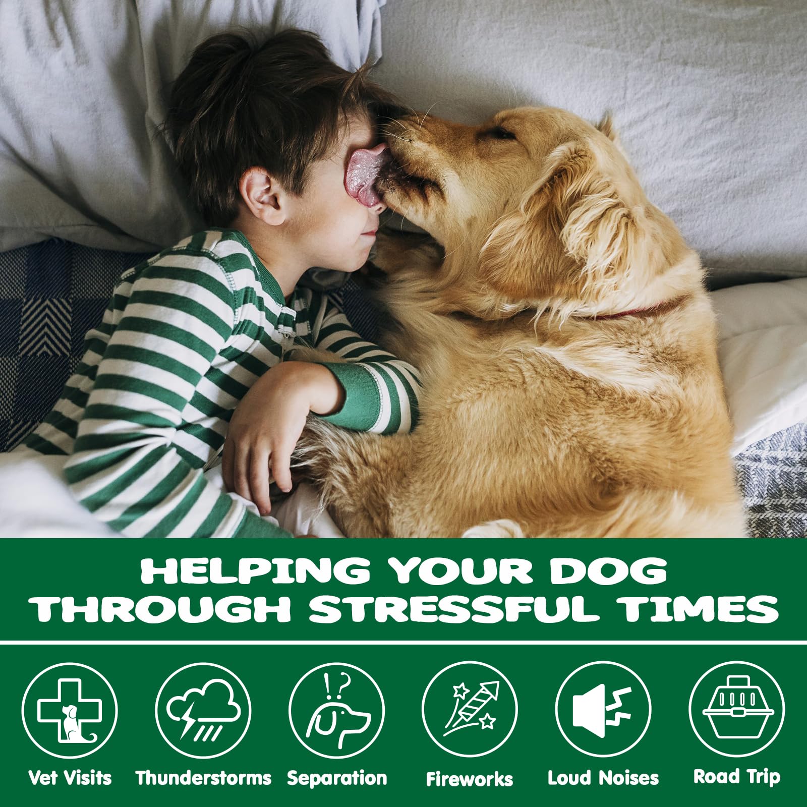 ziehooGe Calming Chews jar — convenient calming treats for travel and home.
