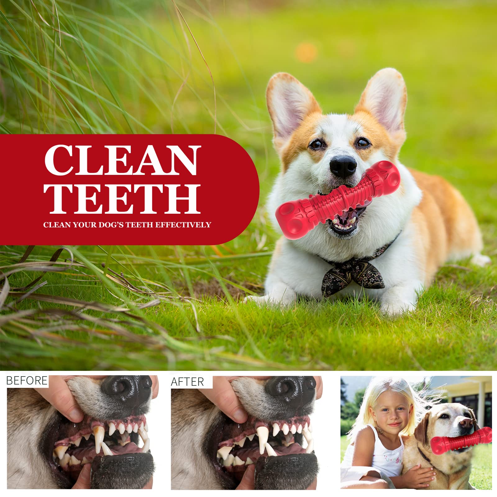 ZIKATON indoor-outdoor squeaker toy—engaging play anywhere, indoors or outside.