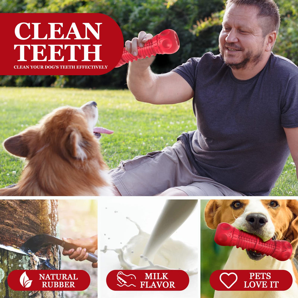 ZIKATON textured rubber toy—promotes long-lasting chewing and mental engagement.