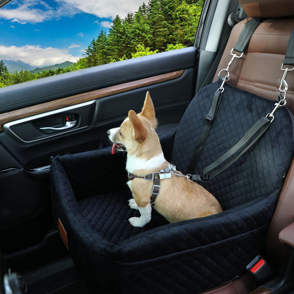 Zilemoon car seat setup is quick and secure with seat belt integration.