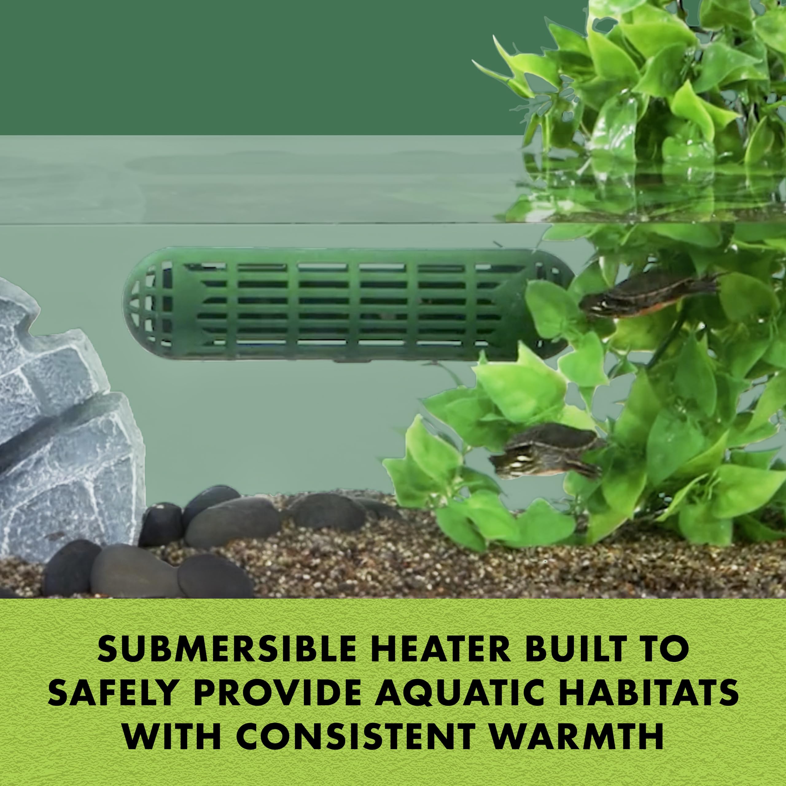 Zilla Aquatic Reptile Heater being installed with suction cups for secure placement.