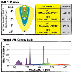 Zilla Canopy UVB/UVA bulb 8-5in dome close-up shows low-intensity spectrum.
