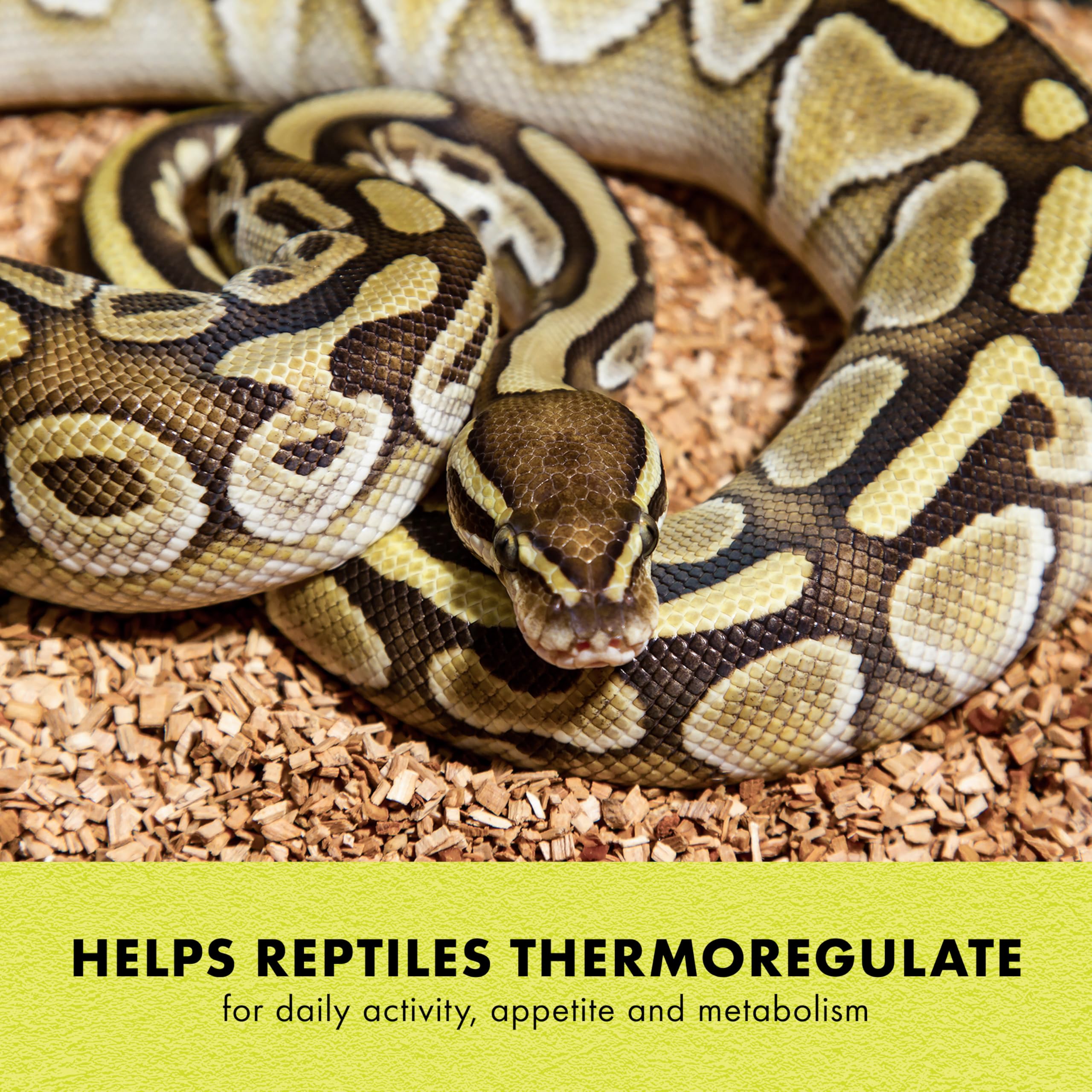 Zilla Heat Mat features no exposed wires to reduce wear in terrariums.