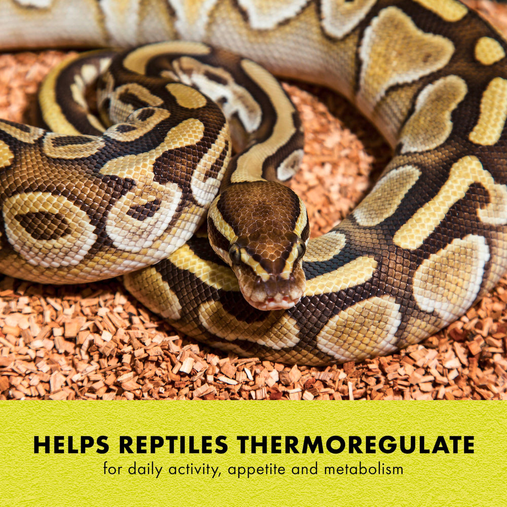 Zilla Heat Mat features no exposed wires to reduce wear in terrariums.